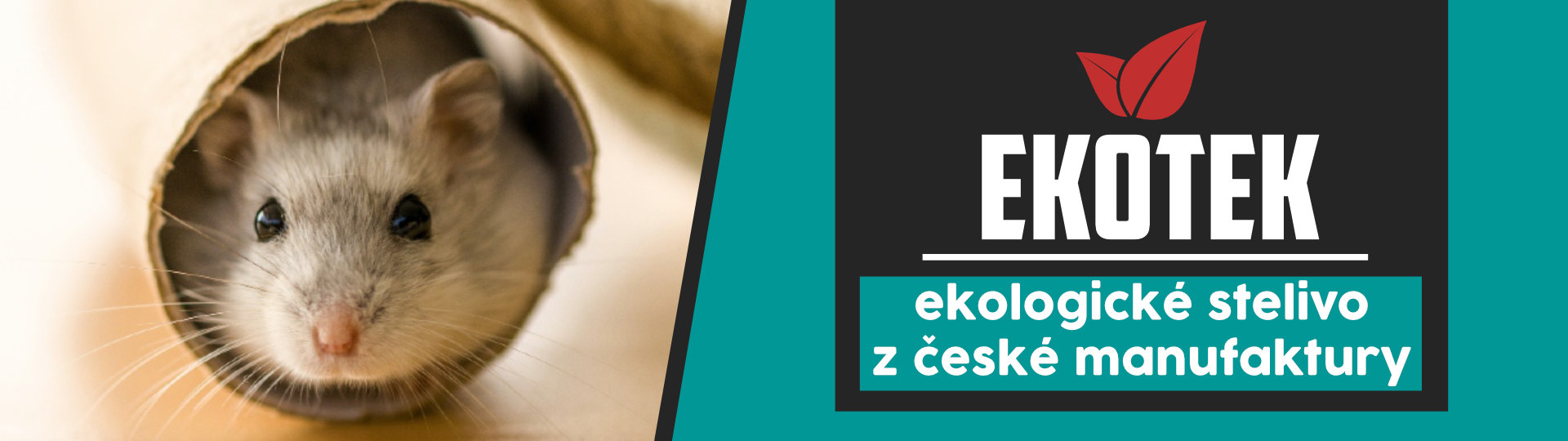 1910x540 ekotek banner blog 4